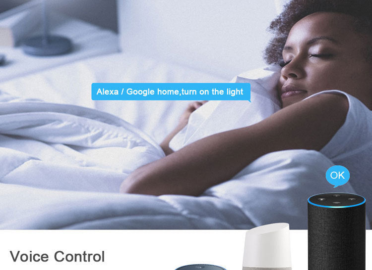 IoT HomeKit 13A 智能燈泡 (E27大螺頭)